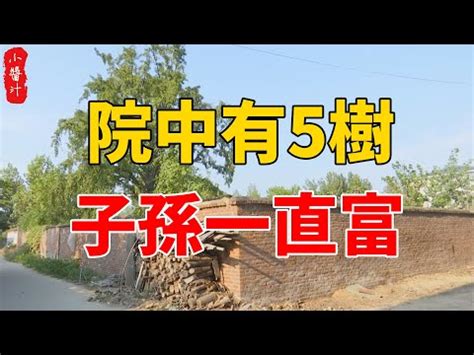 風水 桃|【桃花樹風水】桃花樹風水：古代風水禁忌與現代居家桃花指南